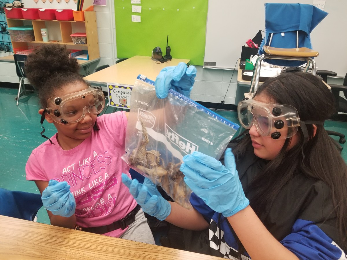Science Explorations Program at Horizons Experiences Continued Success